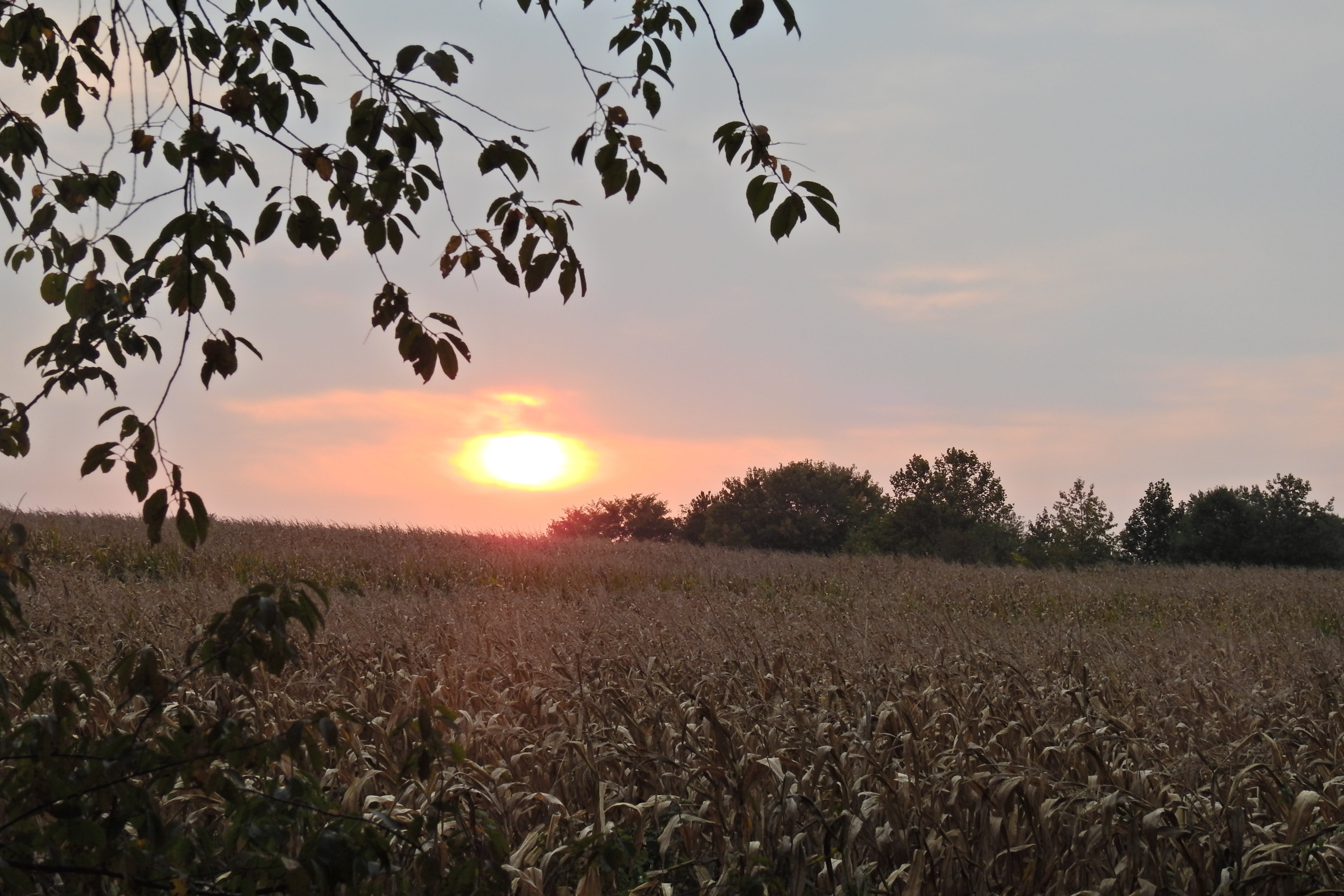 AdobeStock_400410398