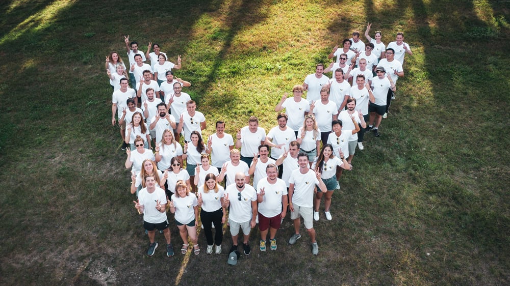 The team of vialytics stands on a grassland in a V form looking in the air for a drone photo