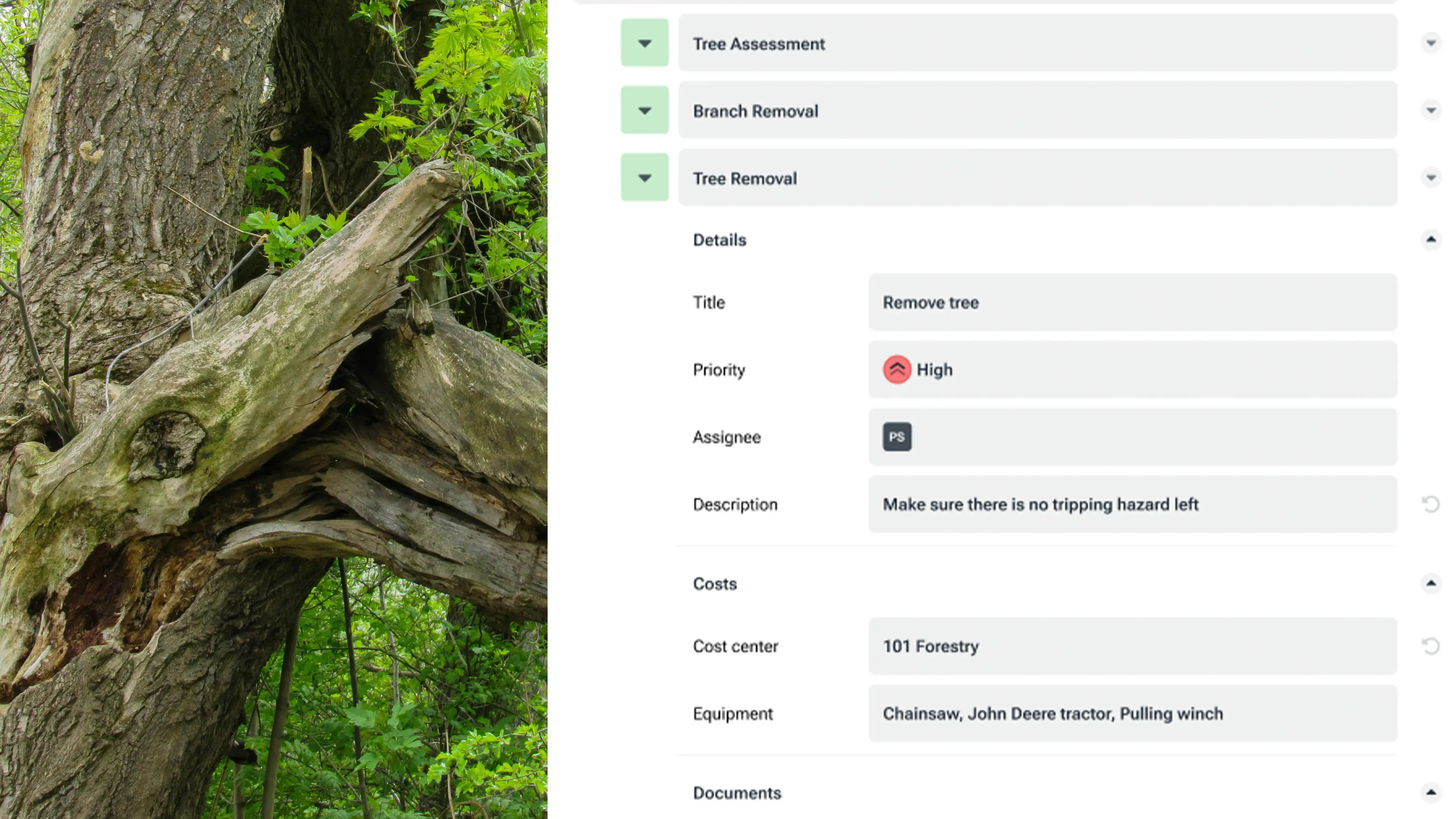 vialytics example using the removal of a tree