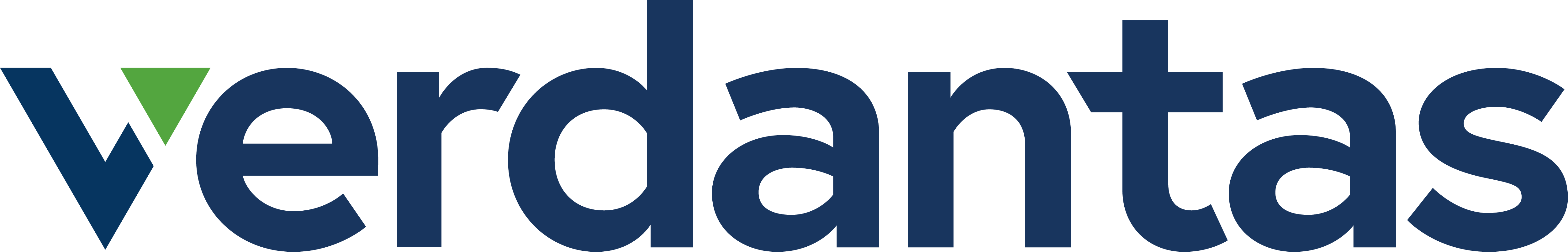 verdantas-rgb-color-dark (12)